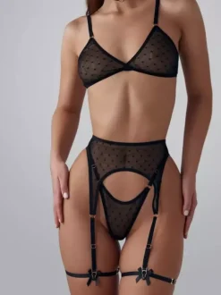 Bra And Panty Set Tulle Legging Choker Garter Sexy 5 Pieces Set