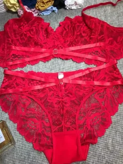 Bridal Lingerie Bra And Pantie Lace Underwear For Women