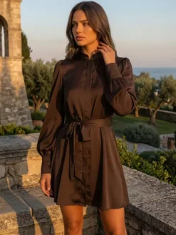 Brown Satin Mini Shirt Dress With High Neck And Lantern Sleeve For Women 2026