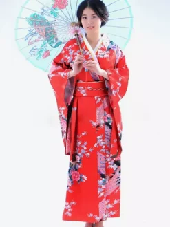 Carnival Traditional Japanese Kimono Costume