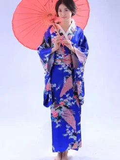 Carnival Traditional Japanese Kimono Costume