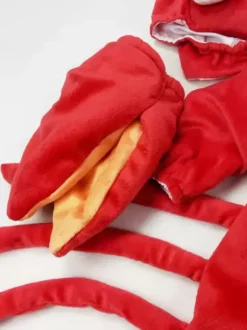 Children Lobster Cartoon Animal Costumes