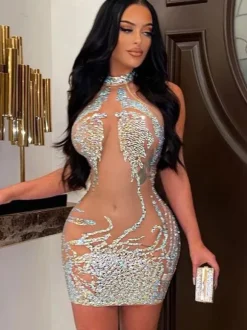 Club Dress For Women Apricot High Collar Sequins Sleeveless Tulle Sheer Sexy Dress