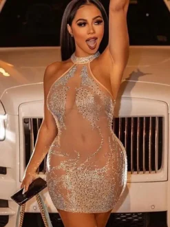 Club Dress For Women Apricot High Collar Sequins Sleeveless Tulle Sheer Sexy Dress