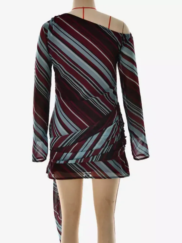 Daily Dresses Woman's Long Sleeves One-Shoulder Chic Purple Dress