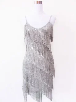 Dance Costumes Latin Dancer Dresses Women Silver Tassels Dancing Clothing Hallloween