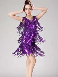Dance Costumes Latin Dancer Dresses Women Purple Tassels Skirt Dancing Clothing Carnival