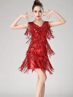 Dance Costumes Latin Dancer Dresses Women Purple Tassels Skirt Dancing Clothing Carnival