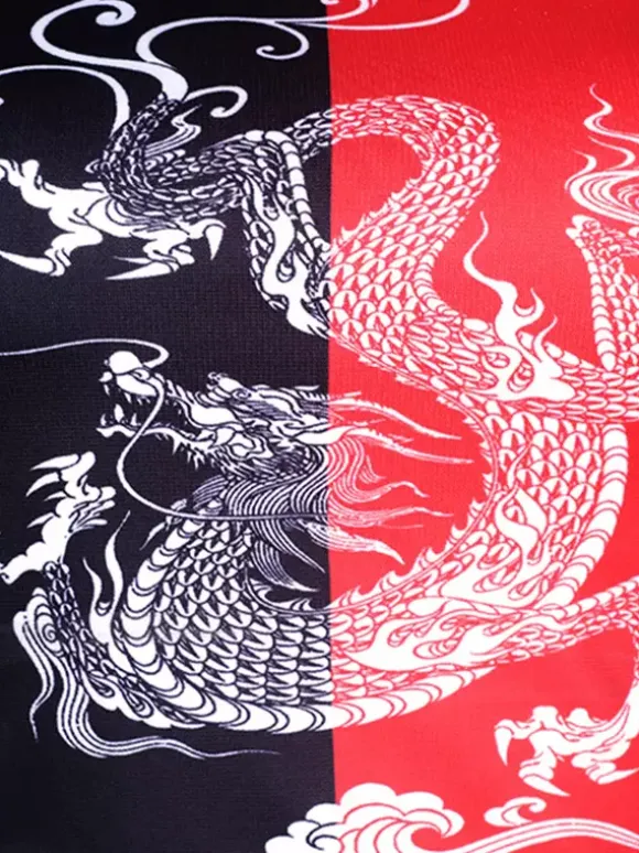 Dance Costumes Women's Jazz Dragon Print Dancing Wear Set