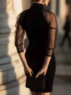 Date Night Dresses Mini Long Sleeves High Collar BlackRuched High Neck See Through Mesh Slim Party Dress