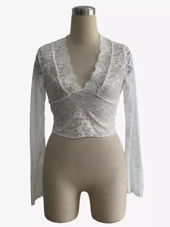 Deep V Neck Scalloped Floral Lace Sheer Crop Top For Women 2026