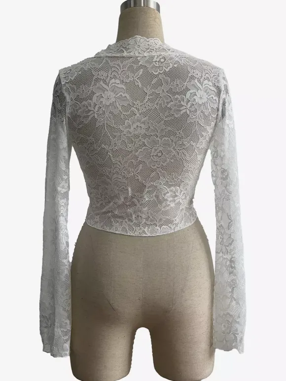 Deep V Neck Scalloped Floral Lace Sheer Crop Top For Women 2026