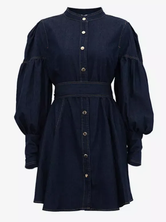 Denim Skater Dress Puff Sleeve Button-Up A-line Mini Dress For Women 2026