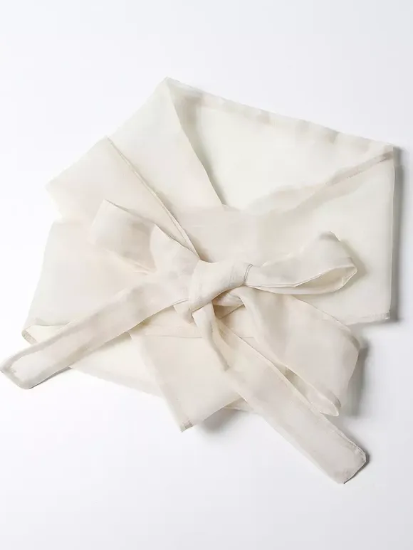 Embroidered Organza Blouses Puff Sleeve Tops For Women - Apricot Boho Tie Waist Sheer Wrap Shirt - Summer Garden Party 2026