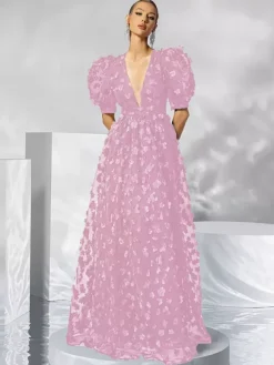 Evening Dress Ball Gown V-Neck Organza Floor-Length Applique Social Party Dresses