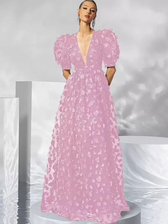 Evening Dress Ball Gown V-Neck Organza Floor-Length Applique Social Party Dresses