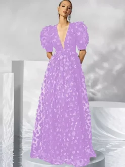 Evening Dress Ball Gown V-Neck Organza Floor-Length Applique Social Party Dresses