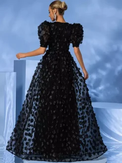 Evening Dress Ball Gown V-Neck Organza Floor-Length Applique Social Party Dresses