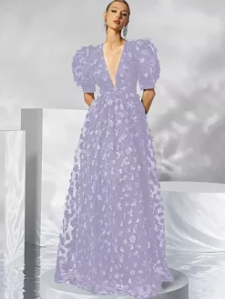 Evening Dress Ball Gown V-Neck Organza Floor-Length Applique Social Party Dresses