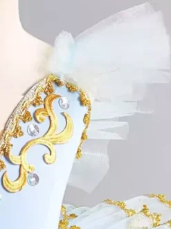 Fairy Butterfly Tutu Girls Ballet Dance Performance Ballerine Costume