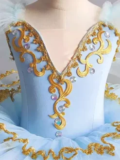 Fairy Butterfly Tutu Girls Ballet Dance Performance Ballerine Costume