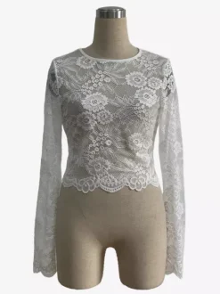 Floral Lace Long Sleeve Slim Fit Crop Top For Women 2026