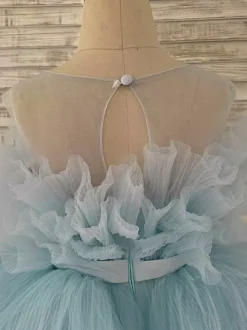 Flower Girl Dress Tulle Bows Jewel Neck Sleeveless Blue Free Customization
