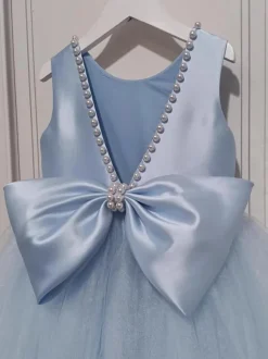 Flower Girl Dresses Baby Blue Tulle Sleeveless Jewel Neck Flower Girl Dresses
