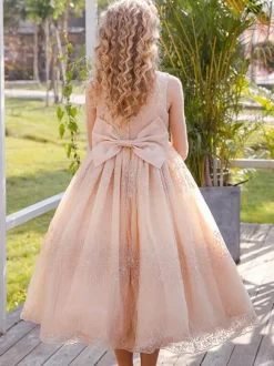 Flower Girl Dresses Baby Blue Jewel Neck Sleeveless Bows Lace Tulle Kids Social Party Dresses