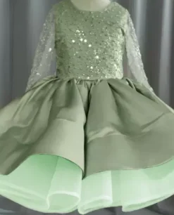 Flower Girl Dress Tulle Beaded Jewel Neck Long Sleeves Champagne Free Customization