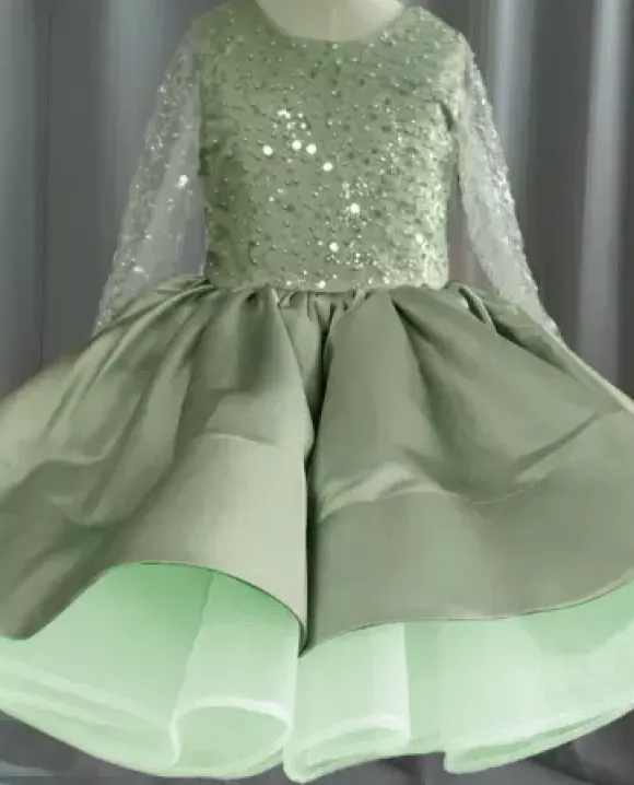 Flower Girl Dress Tulle Beaded Jewel Neck Long Sleeves Champagne Free Customization