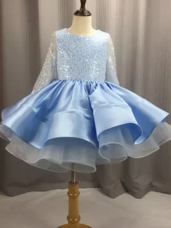 Flower Girl Dress Tulle Beaded Jewel Neck Long Sleeves Champagne Free Customization