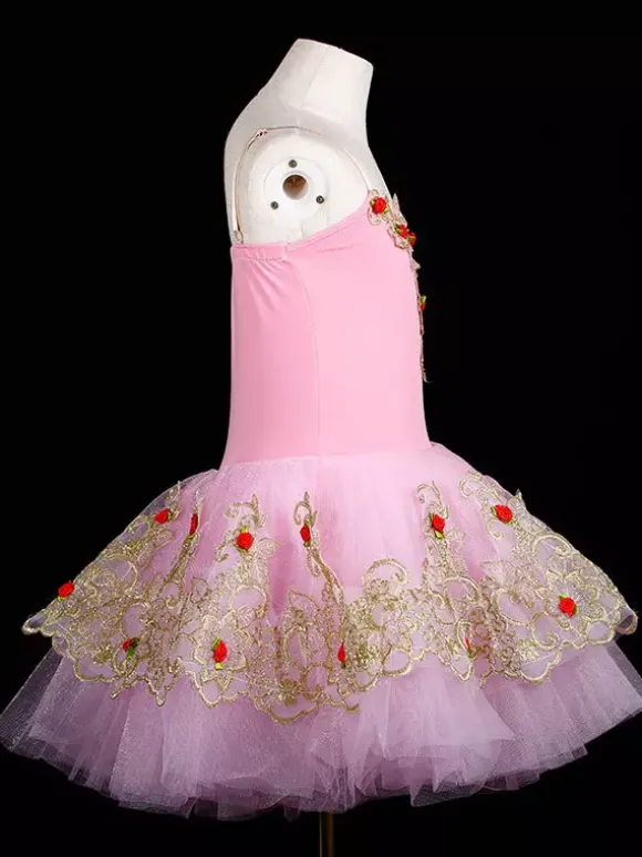 Girls Ballet Skirt Long Dance Dress Performance Costume Ballerina Dress