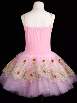Girls Ballet Skirt Long Dance Dress Performance Costume Ballerina Dress