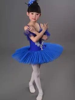 Girls Swan Ballet Tutu Platter Performance Leotard Dress