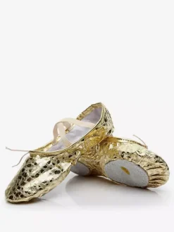 Gold Ballet Shoes 2026 Women Round Toe Criss Cross Belly Dance Shoes