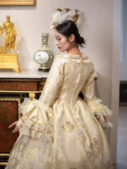 Golden Vintage Victorian Rococo Dress Lace Ruffle Trim Flared Long Sleeves Ball Gown Dress
