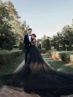 Gothic Black Wedding Dresses Tulle A-Line V-Neck Long Sleeves Backless Lace Royal Train Bridal Gown Free Customization