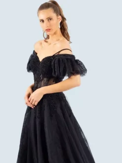 Gothic Black Wedding Dresses A-Line Short Sleeves Lace With Train Bridal Gown Free Customization