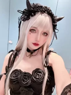 Gothic Lolita Wigs Long Silver Lolita Accessories