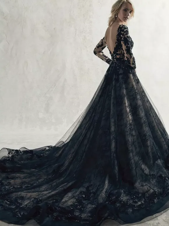 Gothic Black Wedding Dresses Lace Princess Silhouette Long Sleeves Lace Court Train Bridal Gown Free Customization