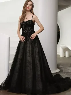 Gothic Wedding Dresses Lace A-Line Sleeveless Natural Waist Lace Court Train Bridal Gown
