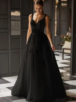 Gothic Wedding Dresses Lace A-Line Sleeveless Natural Waist Lace Sweep Bridal Gown