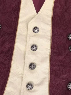 Green Vintage Top Retro Buttons Long Sleeves Retro Costumes For Man Burgundy