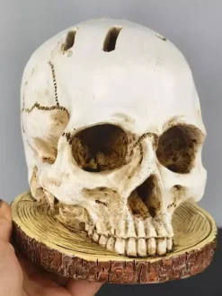 Halloween Skull Cutlery Holder Stand With 6 Slots Gothic Tableware Organizer