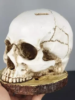 Halloween Skull Cutlery Holder Stand With 6 Slots Gothic Tableware Organizer