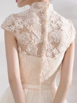 Ivory Cocktail Dress Short Mandarin Collar Lace Applique Cap Sleeve Bow Sash Illusion Organza Homecoming Dress
