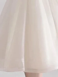 Ivory Cocktail Dress Short Mandarin Collar Lace Applique Cap Sleeve Bow Sash Illusion Organza Homecoming Dress