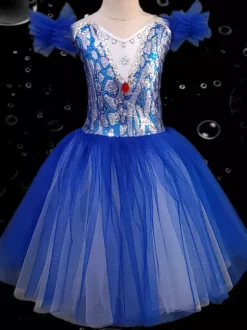 Kids Ballet Dress Various Colors Ballerina Tutu For Performance Swan Dance Dress