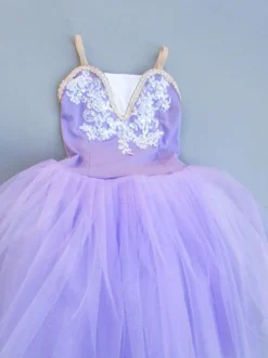 Kids Ballet Dance Dresses Tutu Ballerina Costume For Little Girls